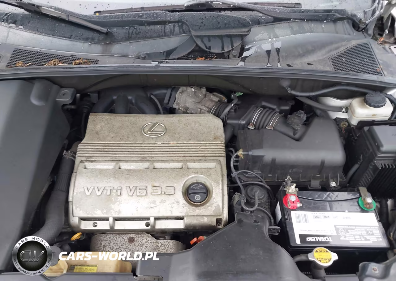 2005 Lexus Rx 330 VIN:2T2HA31U05C045970 - 10
