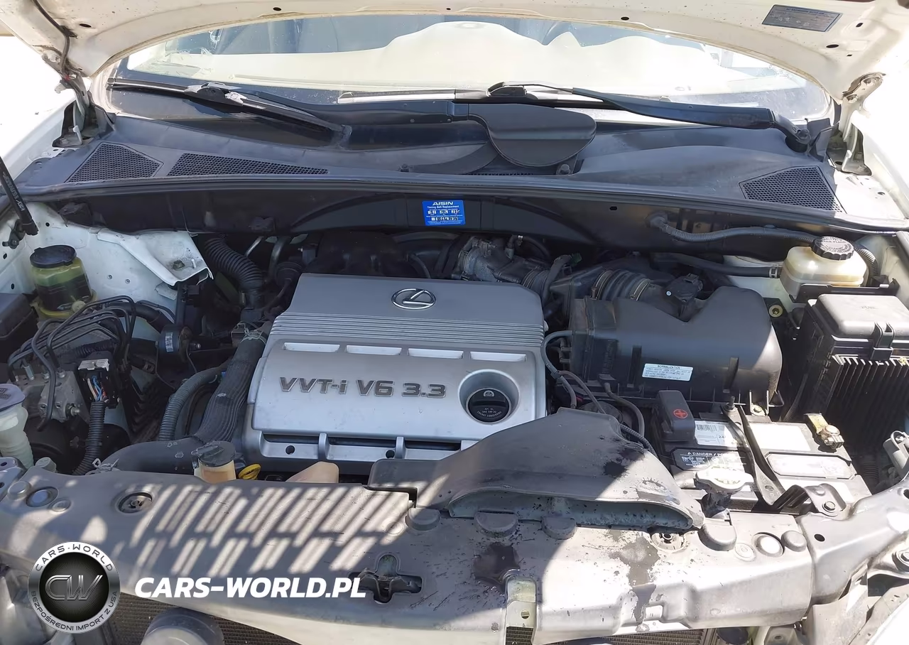 2006 Lexus Rx 330 VIN:JTJGA31U460061243 - 10