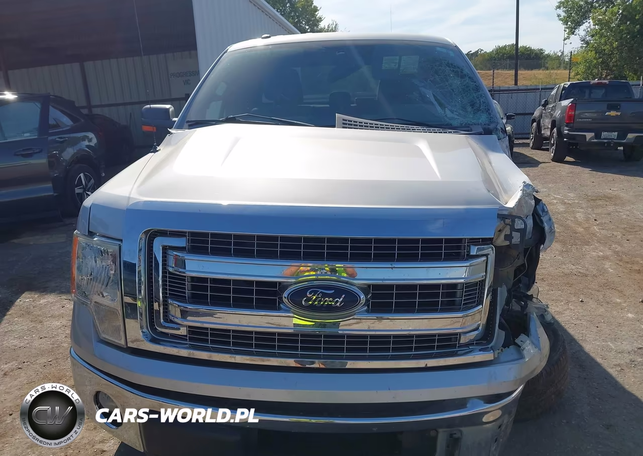 2013 Ford F-150 Xlt VIN:1FTFX1ET5DFB20961 - 13