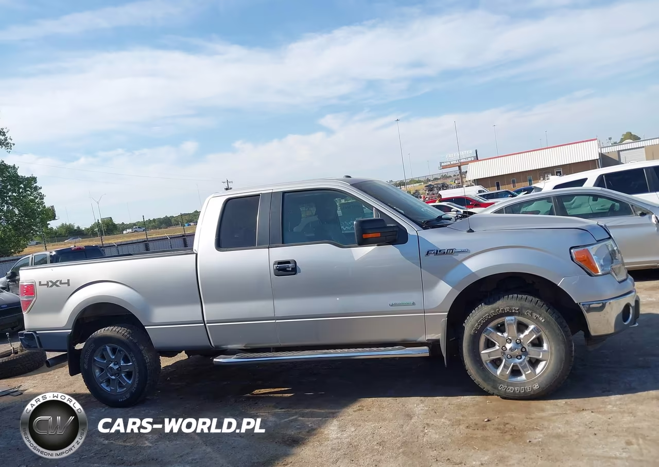 2013 Ford F-150 Xlt VIN:1FTFX1ET5DFB20961 - 14