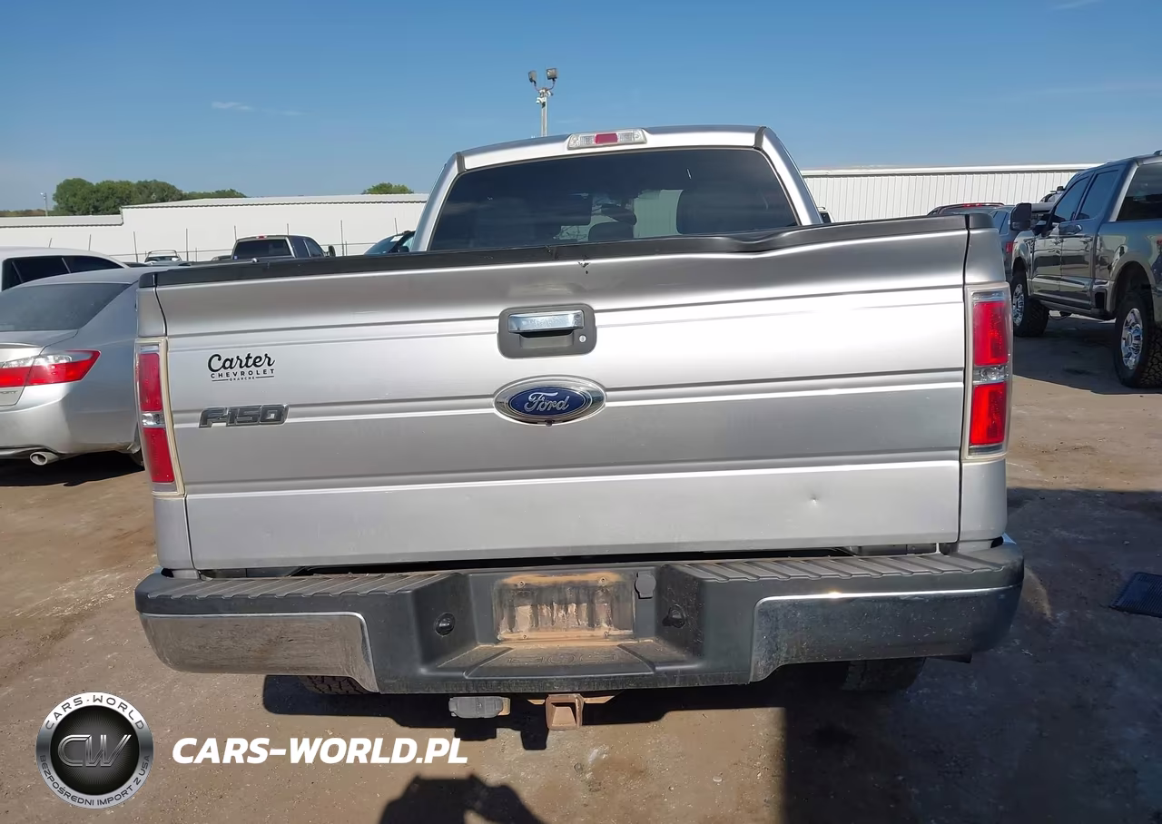 2013 Ford F-150 Xlt VIN:1FTFX1ET5DFB20961 - 17