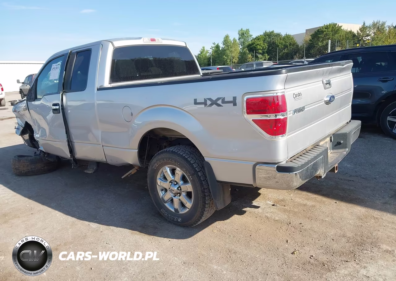 2013 Ford F-150 Xlt VIN:1FTFX1ET5DFB20961 - 3