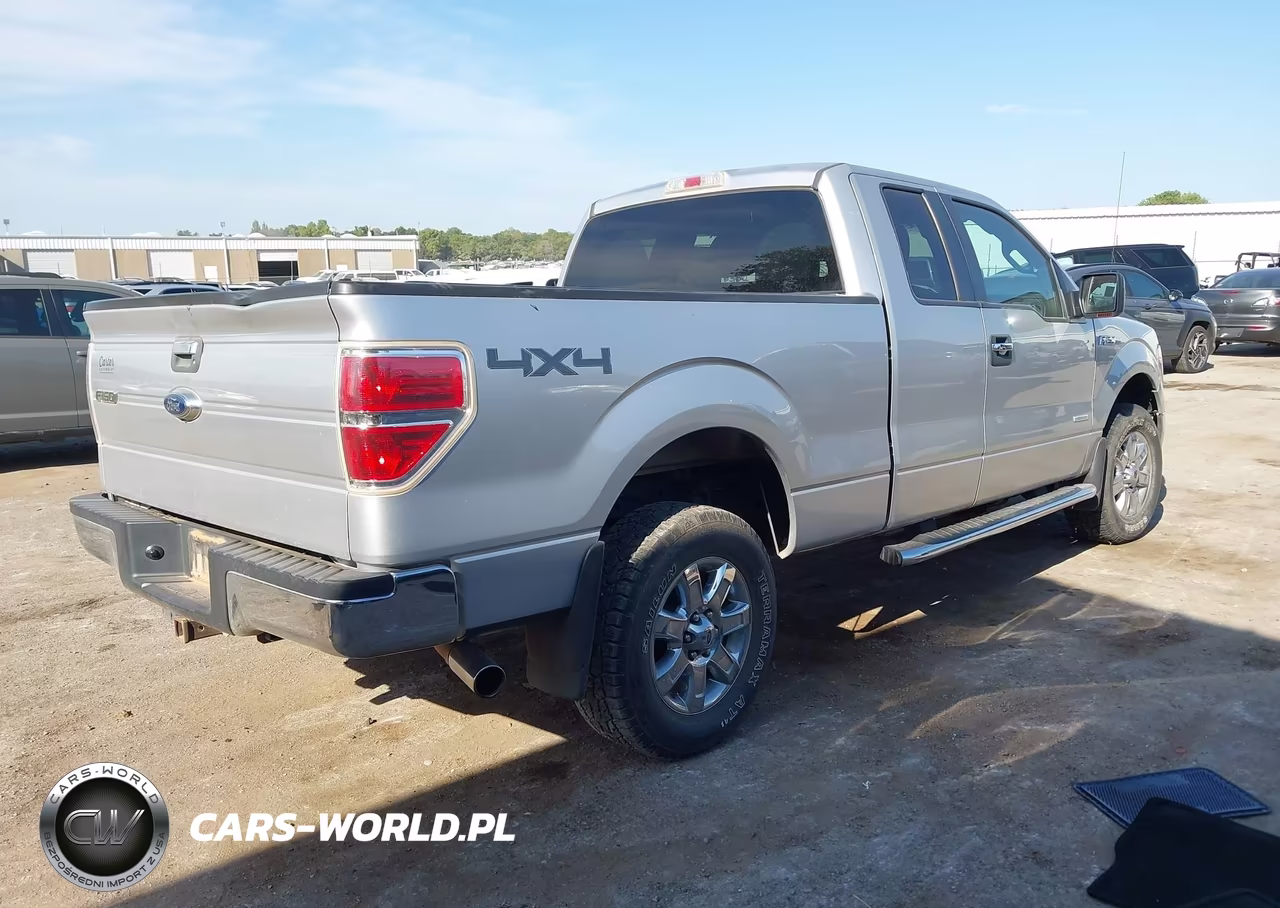 2013 Ford F-150 Xlt VIN:1FTFX1ET5DFB20961 - 4
