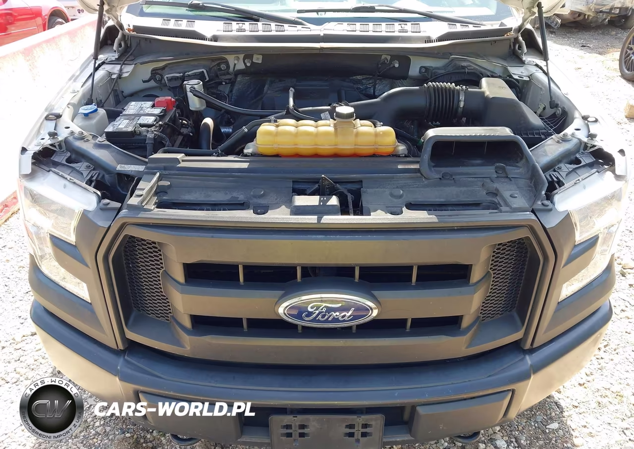 2015 Ford F-150 Xl VIN:1FTEW1EP4FKE98734 - 10