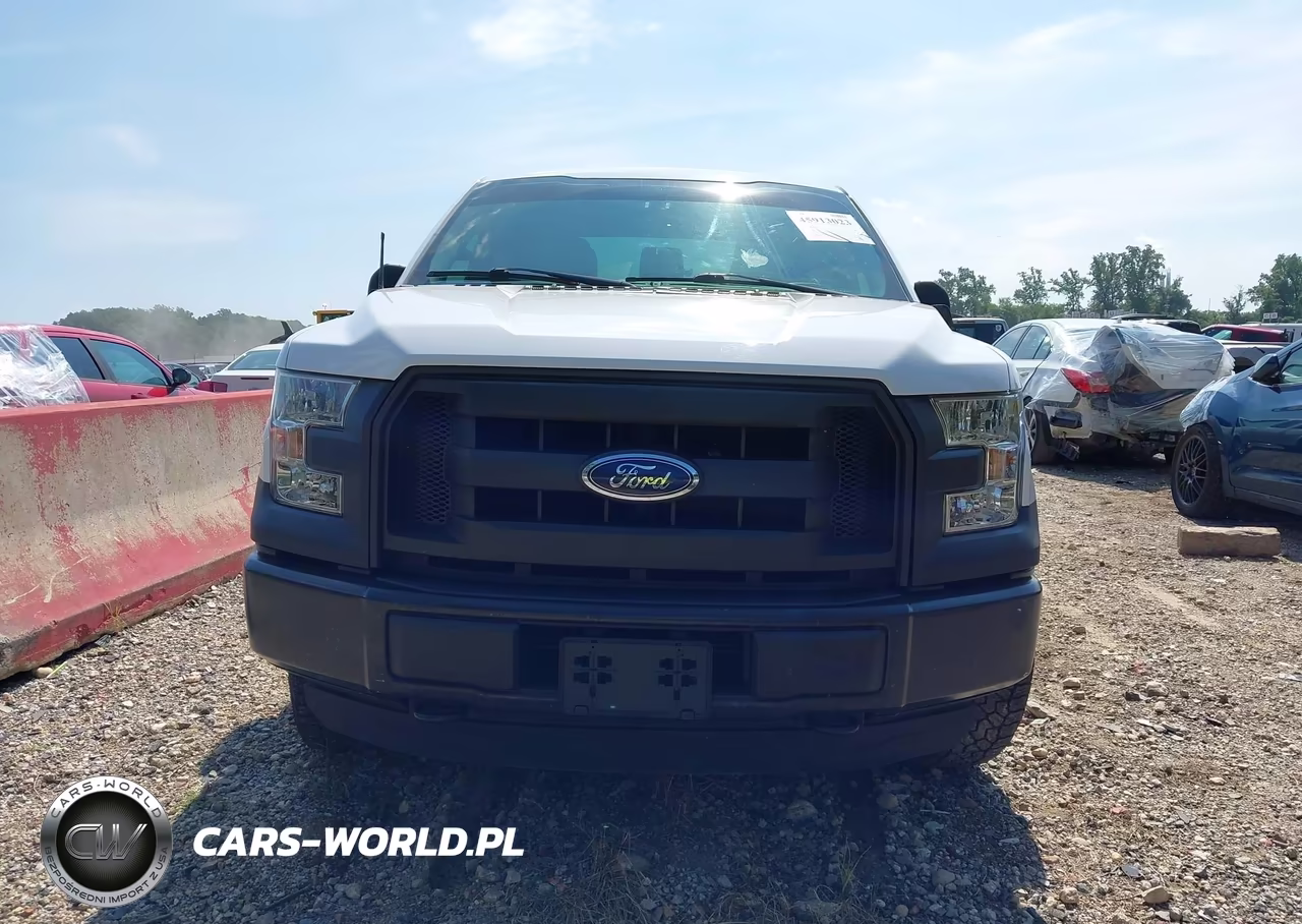 2015 Ford F-150 Xl VIN:1FTEW1EP4FKE98734 - 12