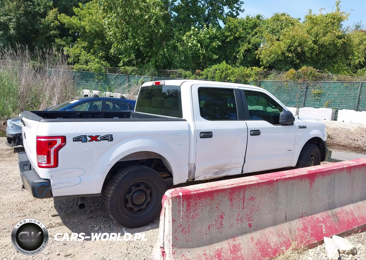 2015 Ford F-150 Xl VIN:1FTEW1EP4FKE98734 - 13