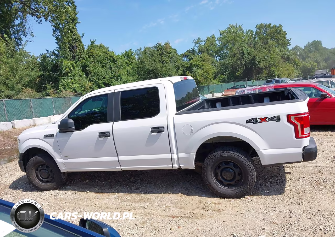2015 Ford F-150 Xl VIN:1FTEW1EP4FKE98734 - 14