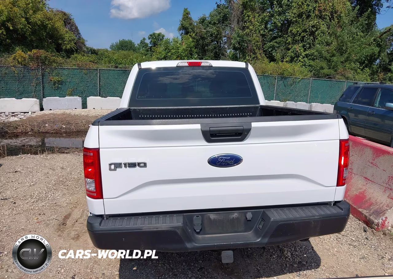 2015 Ford F-150 Xl VIN:1FTEW1EP4FKE98734 - 16