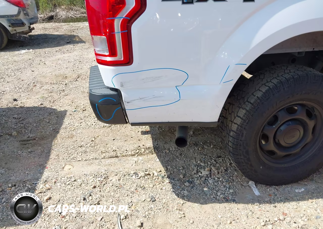 2015 Ford F-150 Xl VIN:1FTEW1EP4FKE98734 - 18