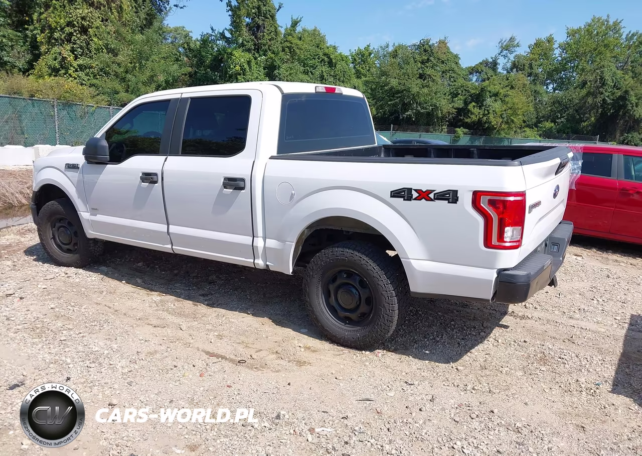 2015 Ford F-150 Xl VIN:1FTEW1EP4FKE98734 - 3