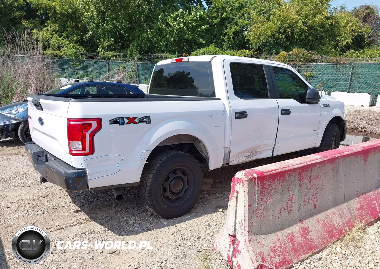 2015 Ford F-150 Xl VIN:1FTEW1EP4FKE98734 - 4