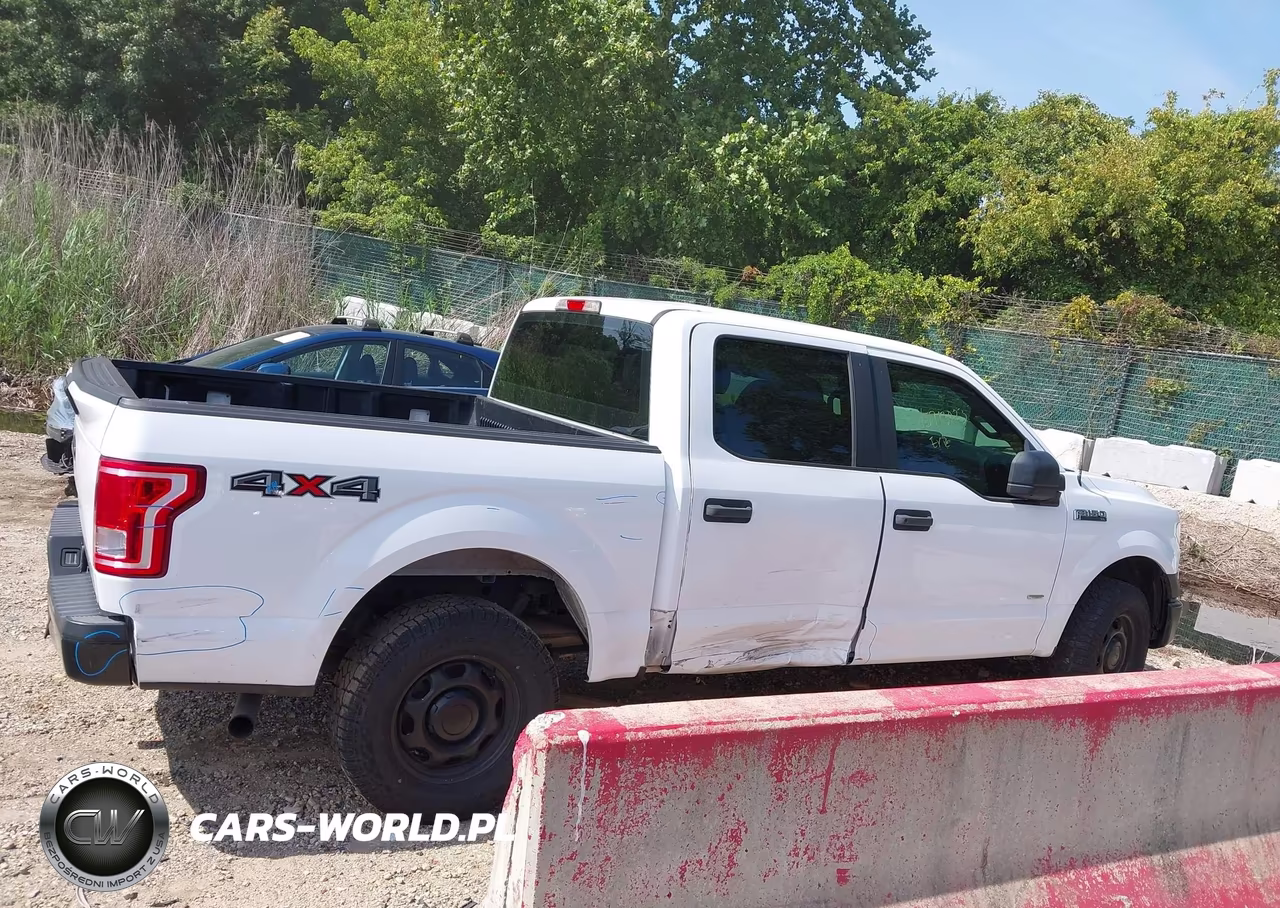 2015 Ford F-150 Xl VIN:1FTEW1EP4FKE98734 - 6