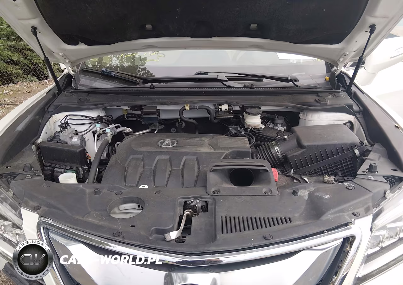 2017 Acura Rdx Advance Package VIN:5J8TB4H76HL016523 - 10
