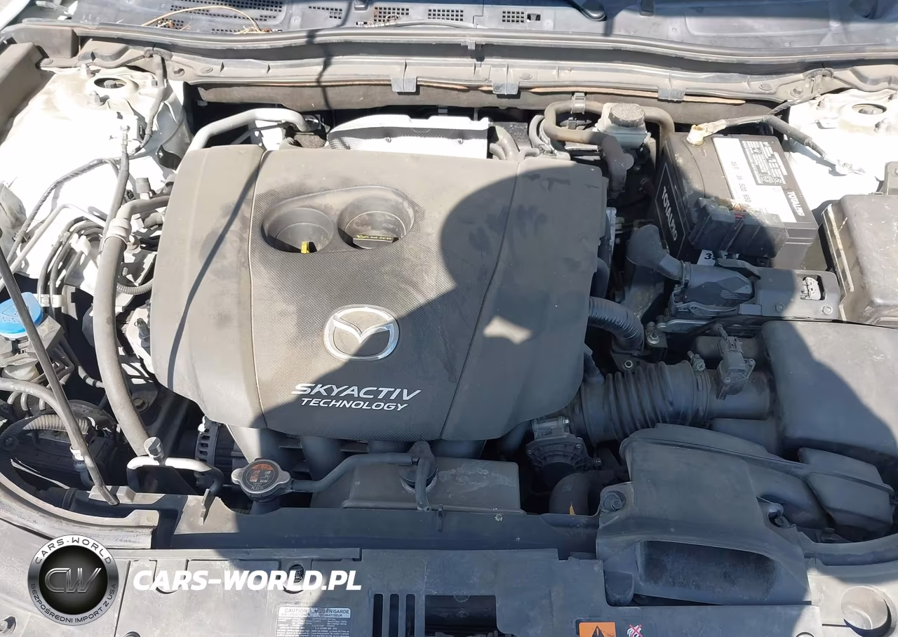 2016 Mazda Mazda3 I Sport VIN:JM1BM1J73G1334039 - 10