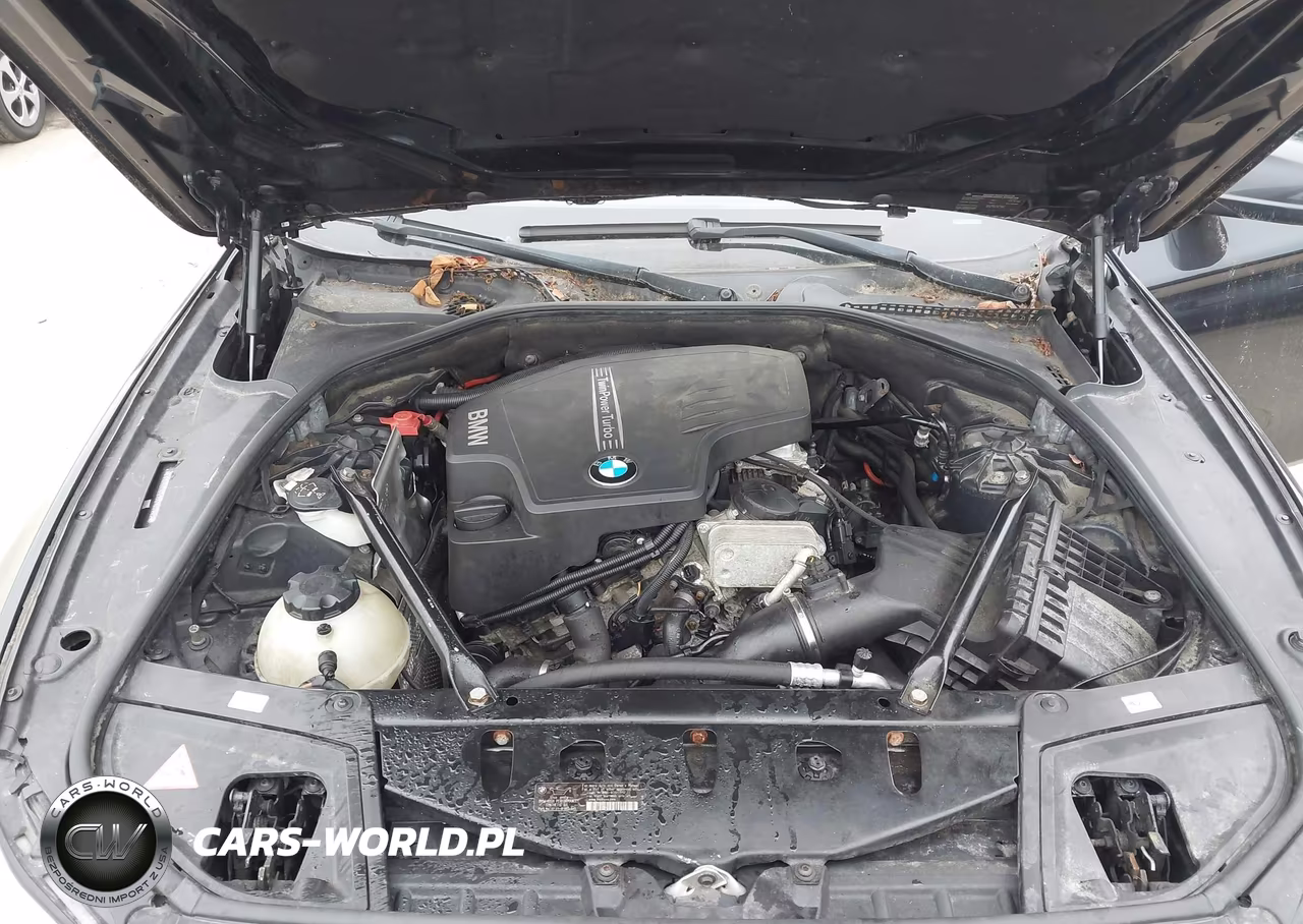 2013 BMW 528I xDrive VIN:WBAXH5C53DD109365 - 10
