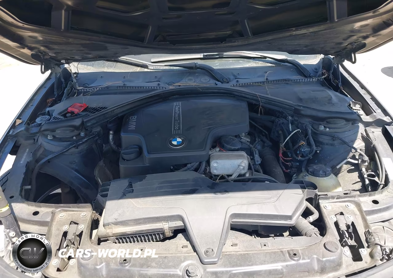 2013 BMW 320I VIN:WBA3B1C54DK129127 - 10