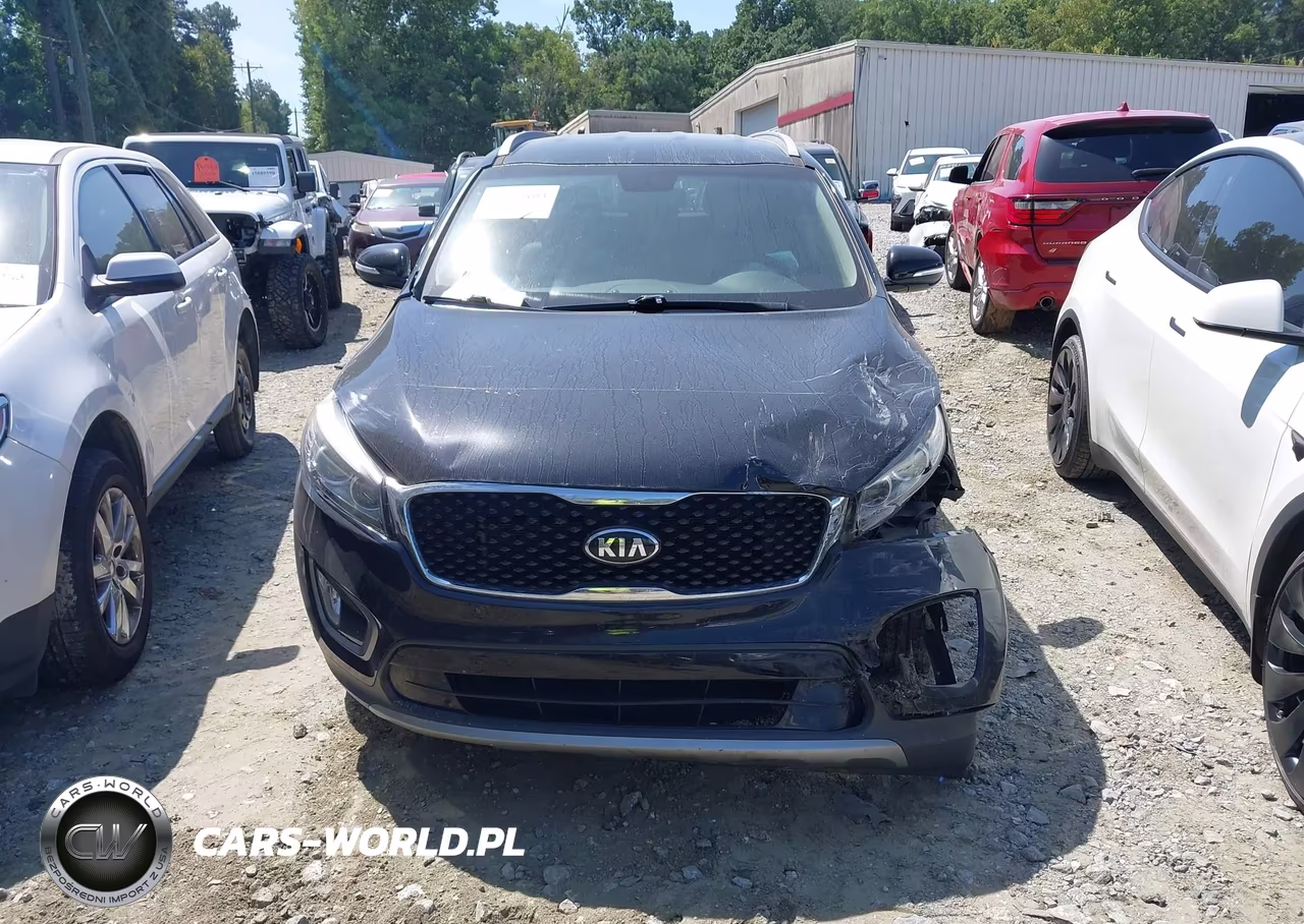 2016 Kia Sorento 3.3L Ex VIN:5XYPH4A51GG153273 - 12