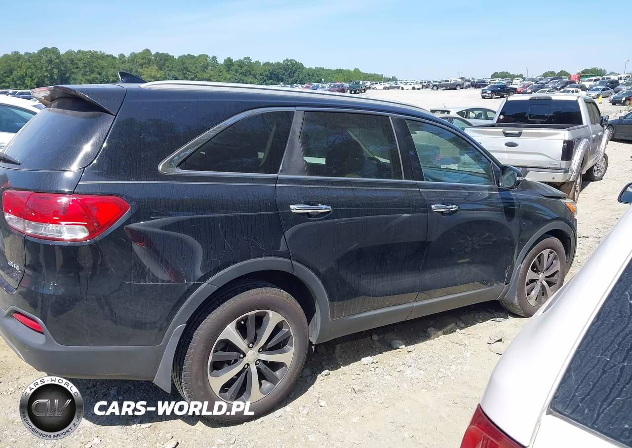 2016 Kia Sorento 3.3L Ex VIN:5XYPH4A51GG153273 - 13