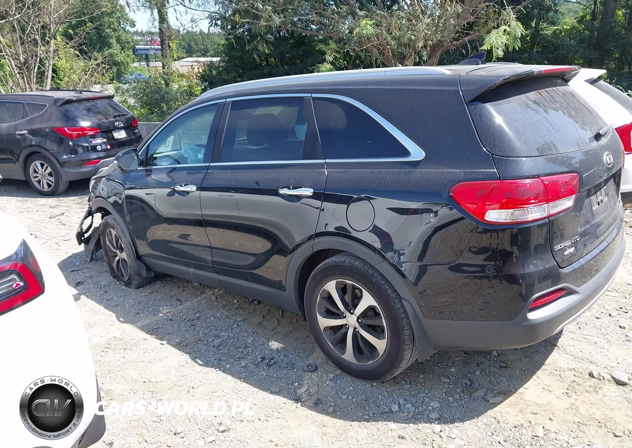 2016 Kia Sorento 3.3L Ex VIN:5XYPH4A51GG153273 - 14