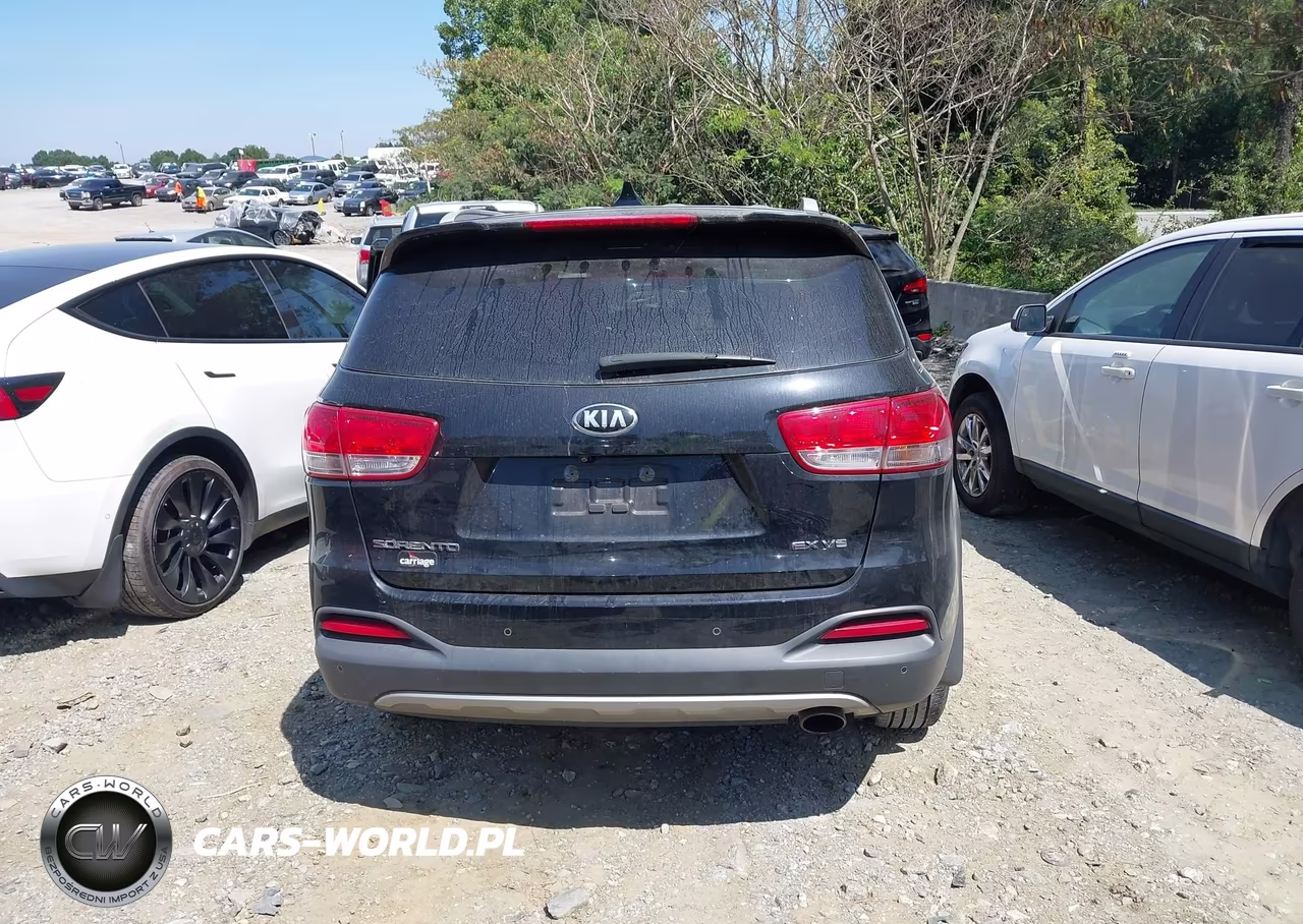 2016 Kia Sorento 3.3L Ex VIN:5XYPH4A51GG153273 - 16