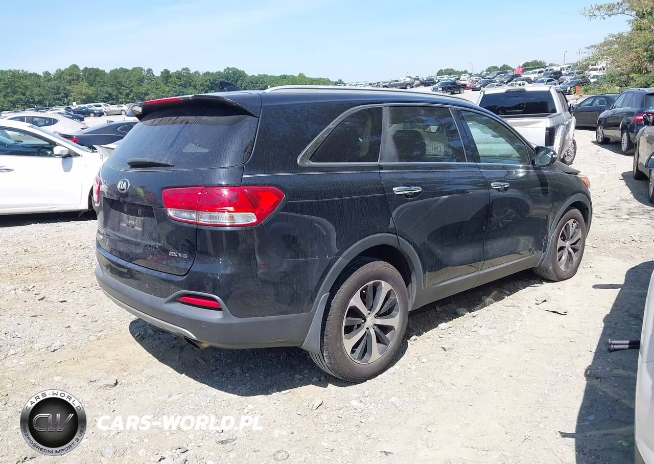 2016 Kia Sorento 3.3L Ex VIN:5XYPH4A51GG153273 - 4