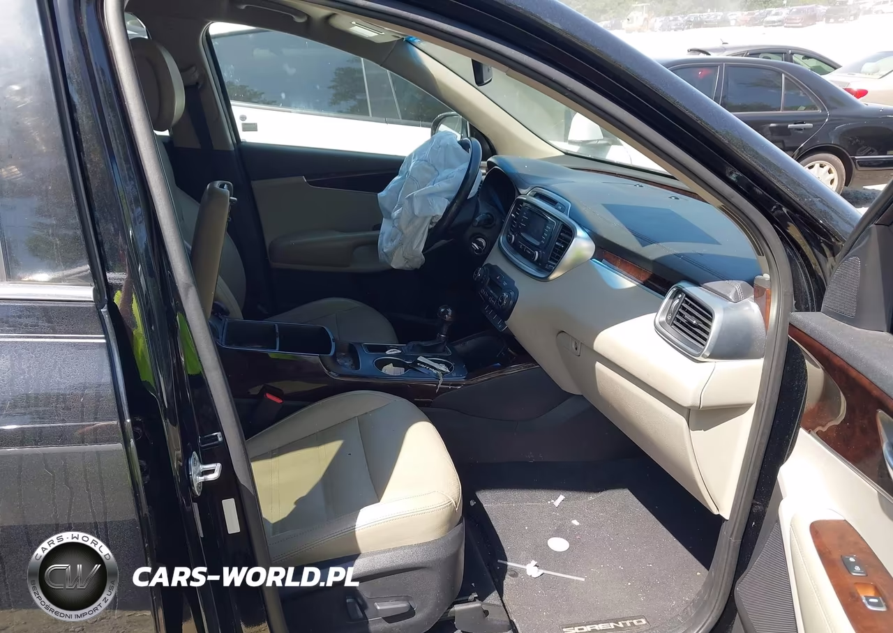 2016 Kia Sorento 3.3L Ex VIN:5XYPH4A51GG153273 - 5