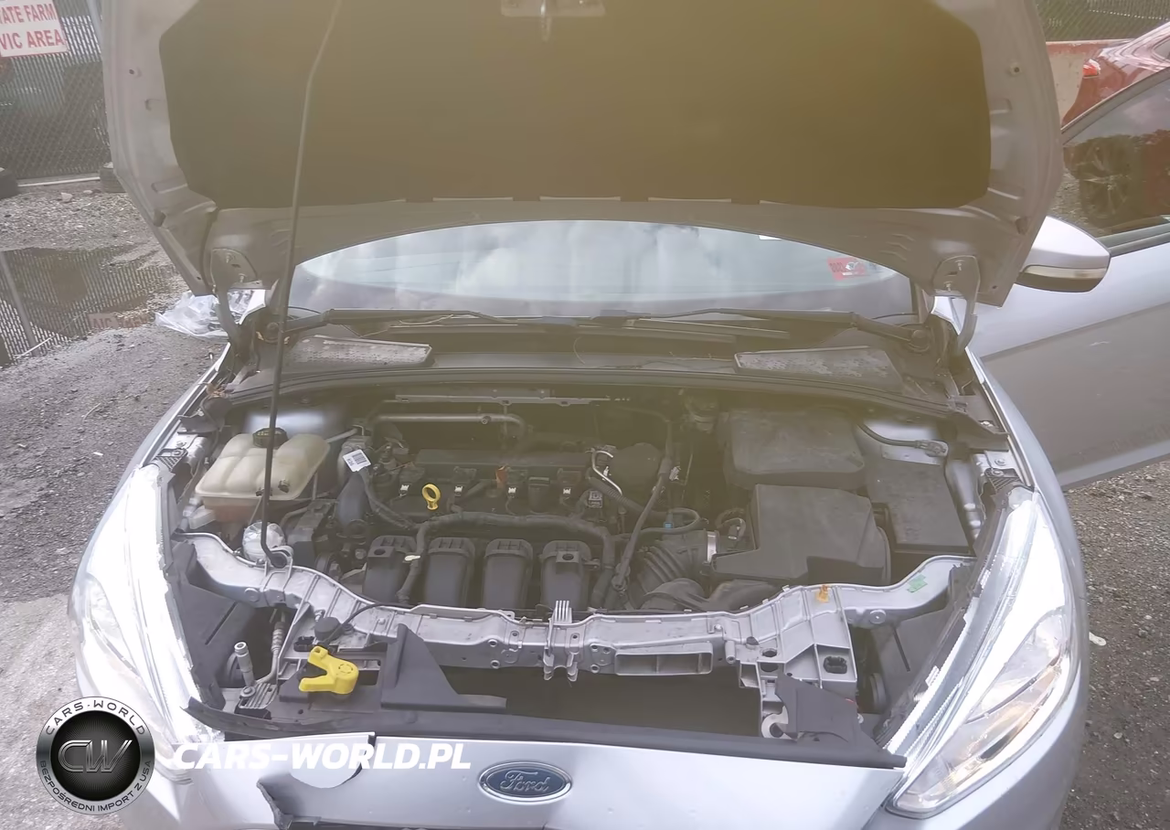 2016 Ford Focus Se VIN:1FADP3F20GL320845 - 10