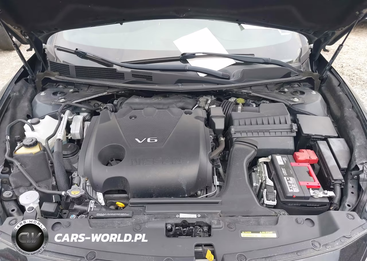 2020 Nissan Maxima Sr Xtronic Cvt VIN:1N4AA6EV8LC374244 - 10
