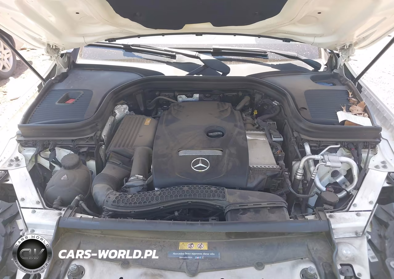 2019 Mercedes-Benz Glc 300 Coupe 4Matic VIN:WDC0J4KB6KF497455 - 10
