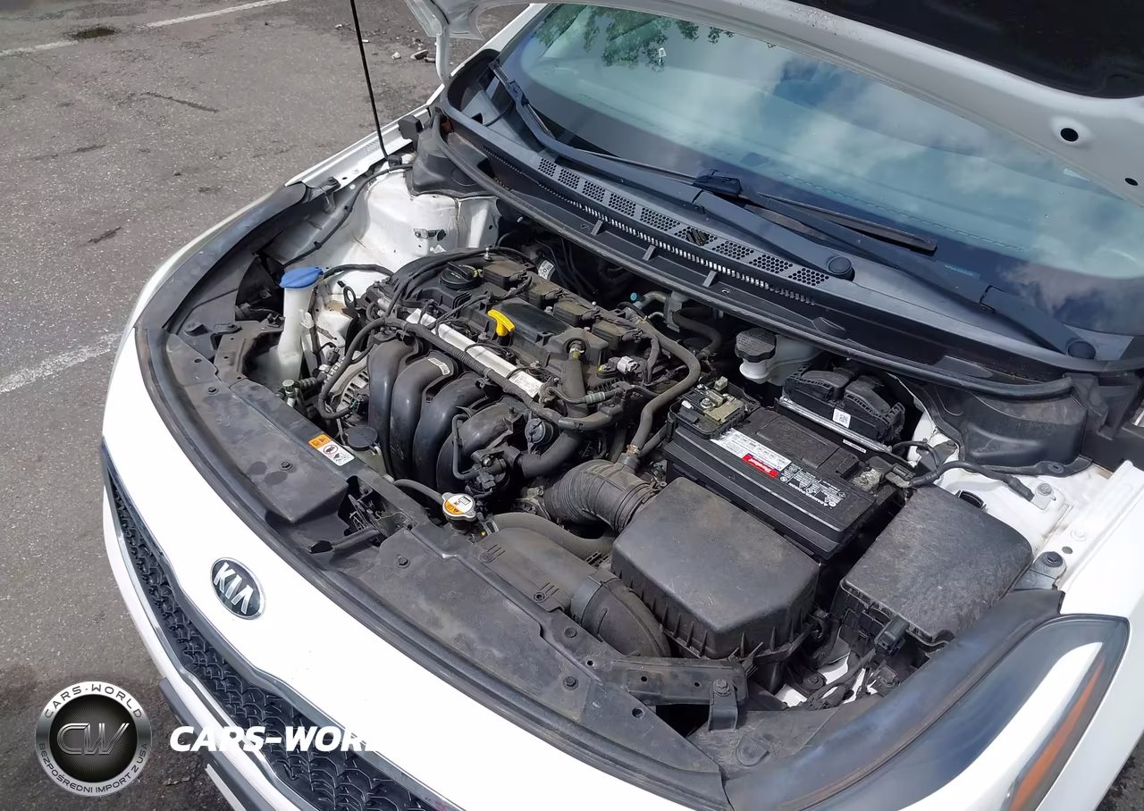2017 Kia Forte Lx VIN:3KPFK4A75HE062097 - 10