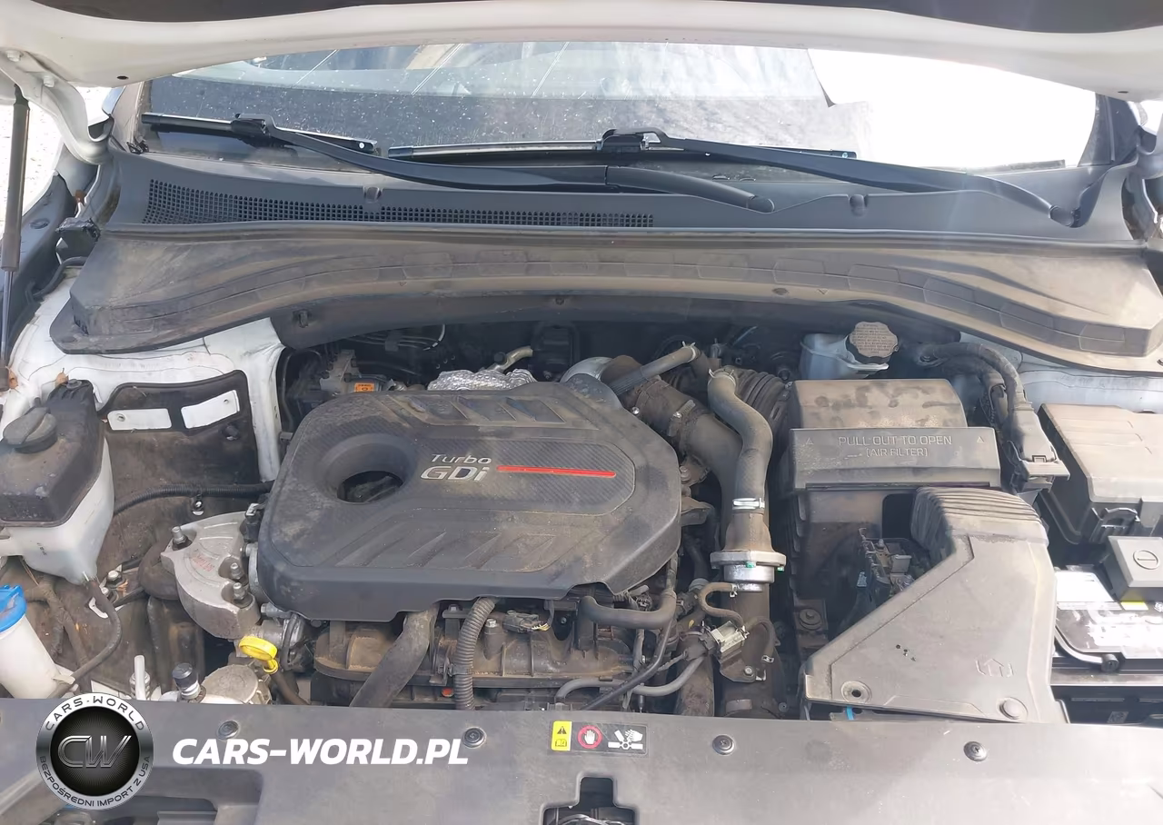 2020 Hyundai Santa Fe Sel 2.0T VIN:5NMS33AA7LH273045 - 10