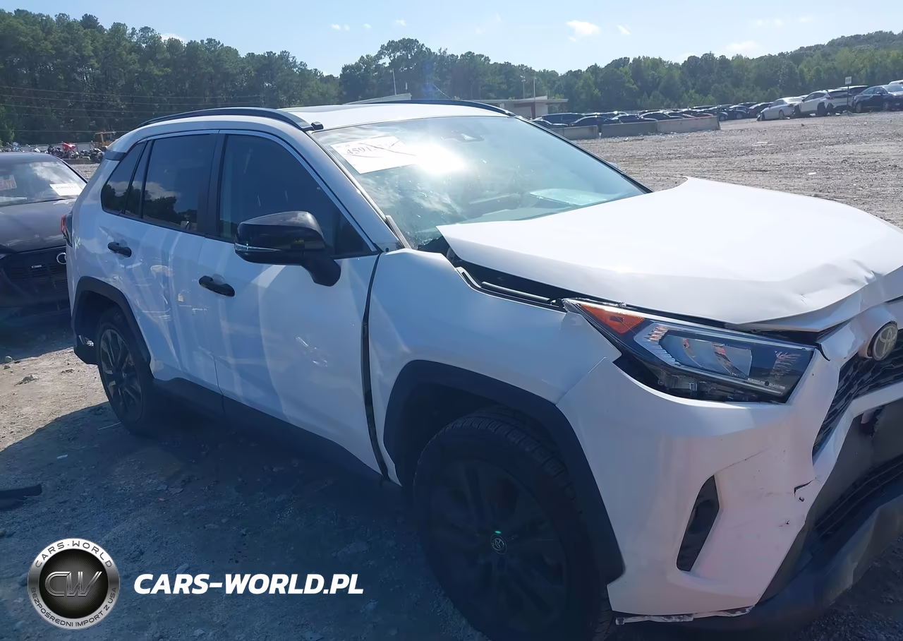 2019 Toyota Rav4 Xle Premium