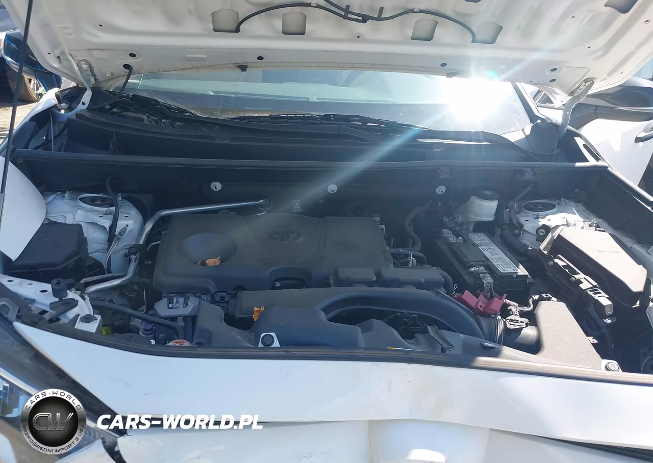 2019 Toyota Rav4 Xle Premium VIN:2T3C1RFVXKC031077 - 10