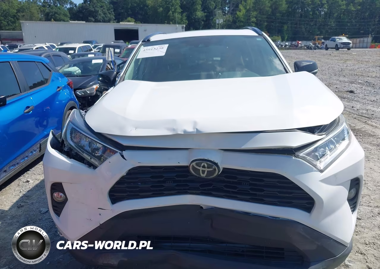 2019 Toyota Rav4 Xle Premium VIN:2T3C1RFVXKC031077 - 12