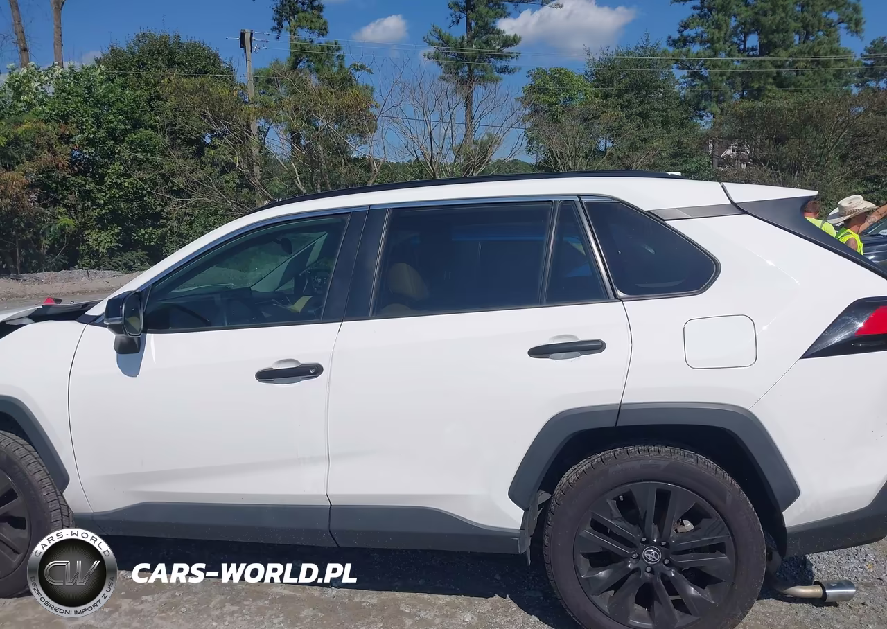 2019 Toyota Rav4 Xle Premium VIN:2T3C1RFVXKC031077 - 14