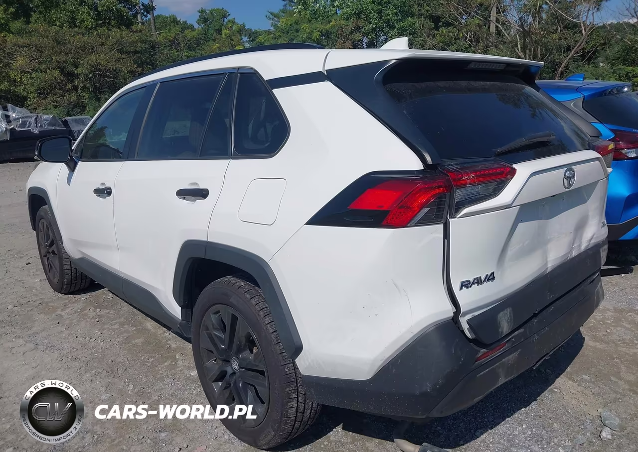 2019 Toyota Rav4 Xle Premium VIN:2T3C1RFVXKC031077 - 3