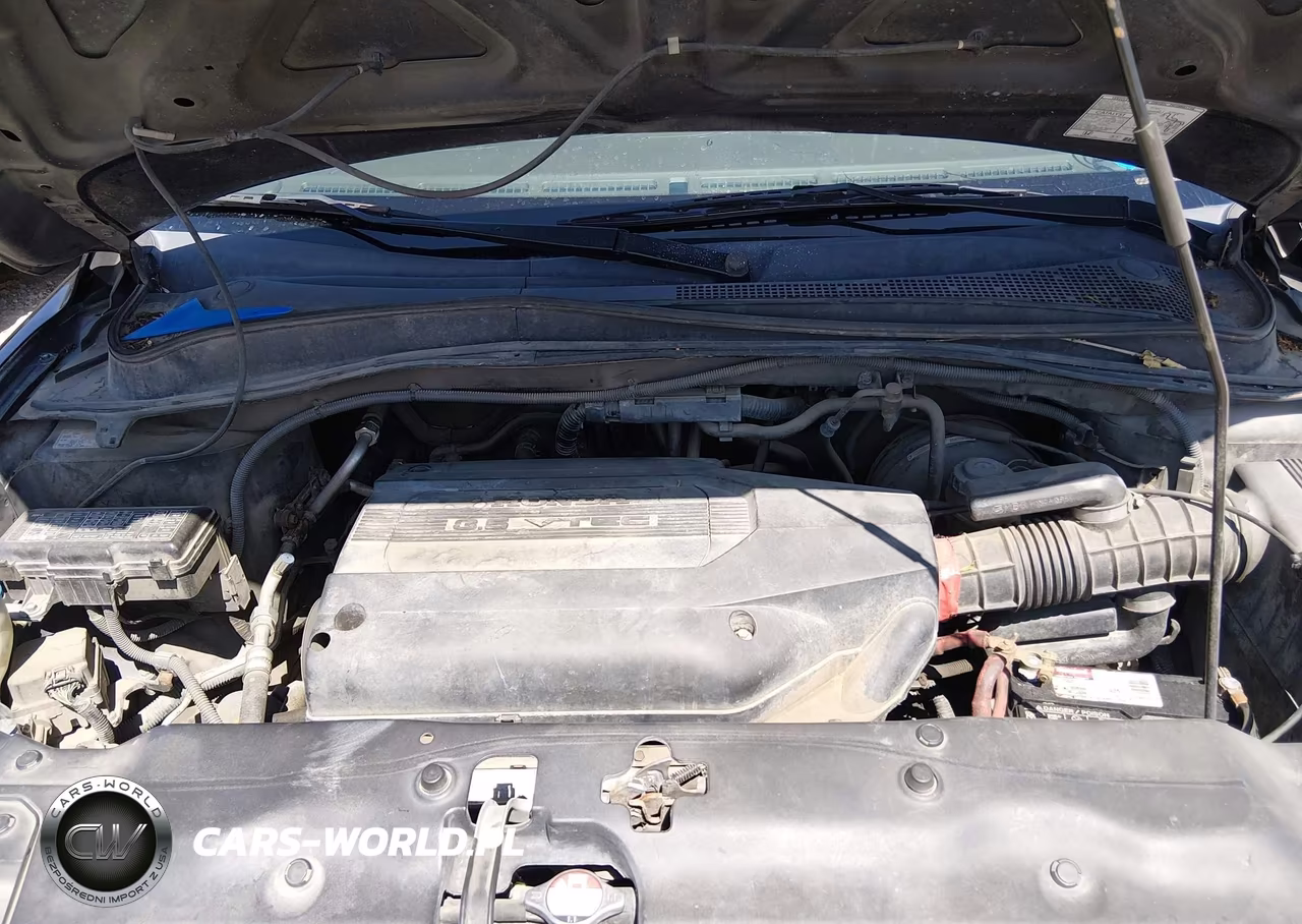 2004 Honda Pilot Ex-L VIN:2HKYF18664H572506 - 10