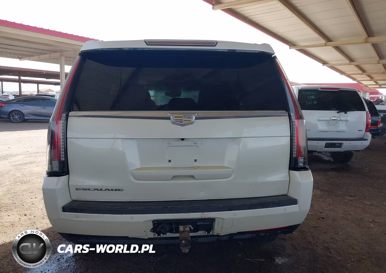 2015 Cadillac Escalade Premium VIN:1GYS3NKJ1FR553712 - 16