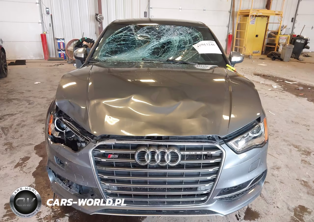 2016 Audi S3 Premium Plus VIN:WAUB1GFF7G1027563 - 12