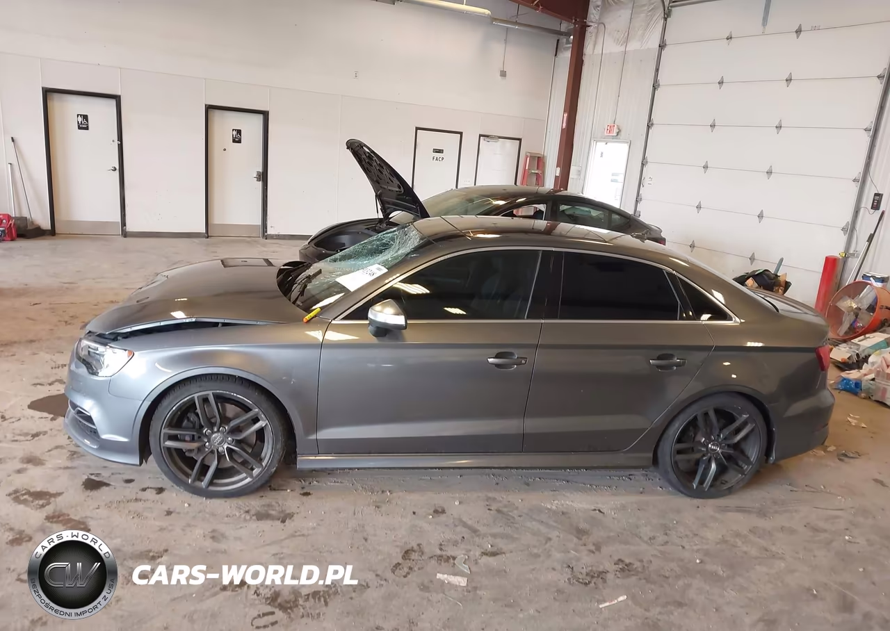 2016 Audi S3 Premium Plus VIN:WAUB1GFF7G1027563 - 14