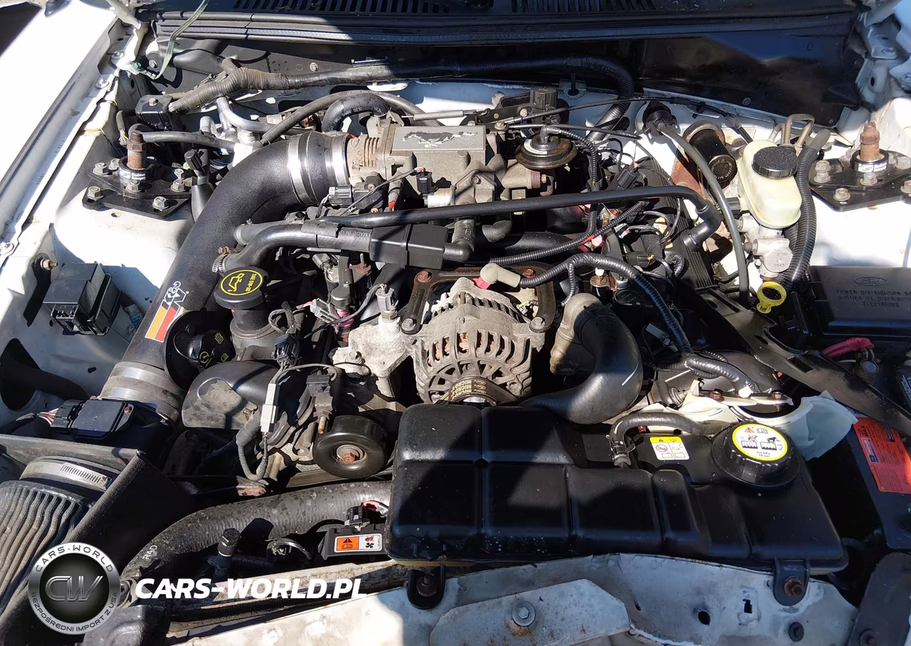 2003 Ford Mustang Gt VIN:1FAFP42XX3F445862 - 10