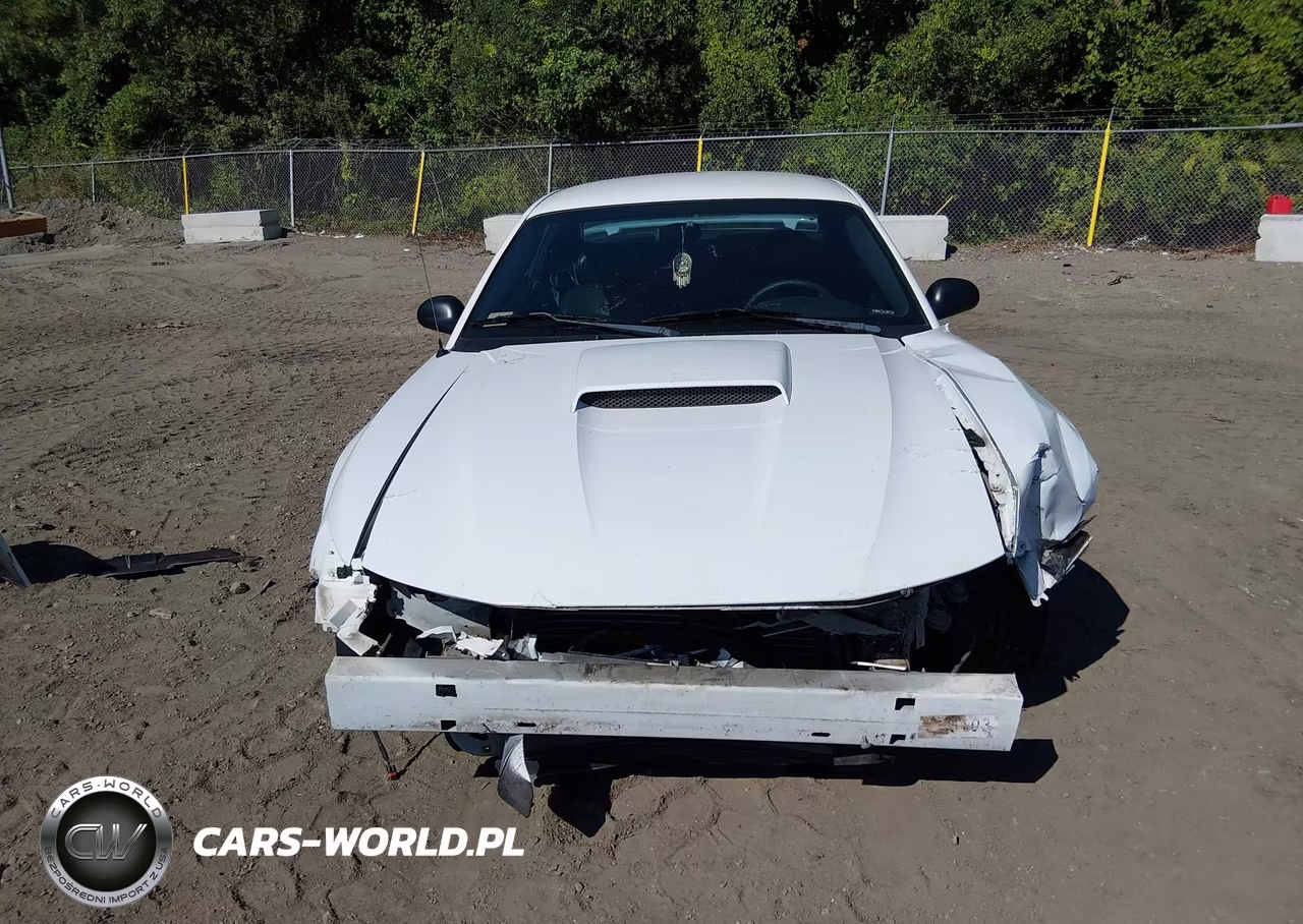 2003 Ford Mustang Gt VIN:1FAFP42XX3F445862 - 13