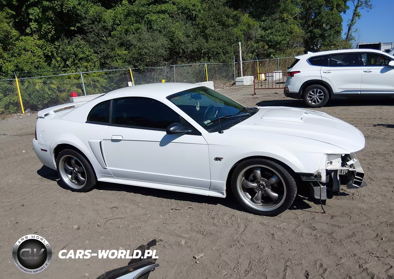 2003 Ford Mustang Gt VIN:1FAFP42XX3F445862 - 14