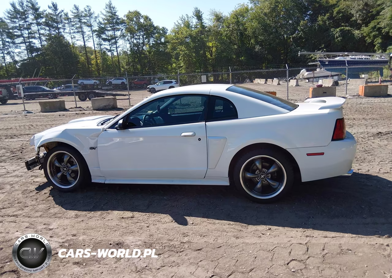 2003 Ford Mustang Gt VIN:1FAFP42XX3F445862 - 15