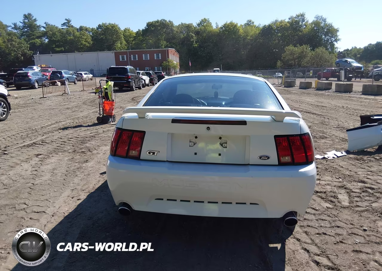 2003 Ford Mustang Gt VIN:1FAFP42XX3F445862 - 17