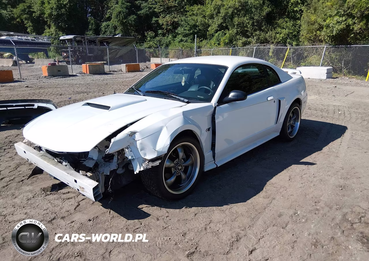 2003 Ford Mustang Gt VIN:1FAFP42XX3F445862 - 2