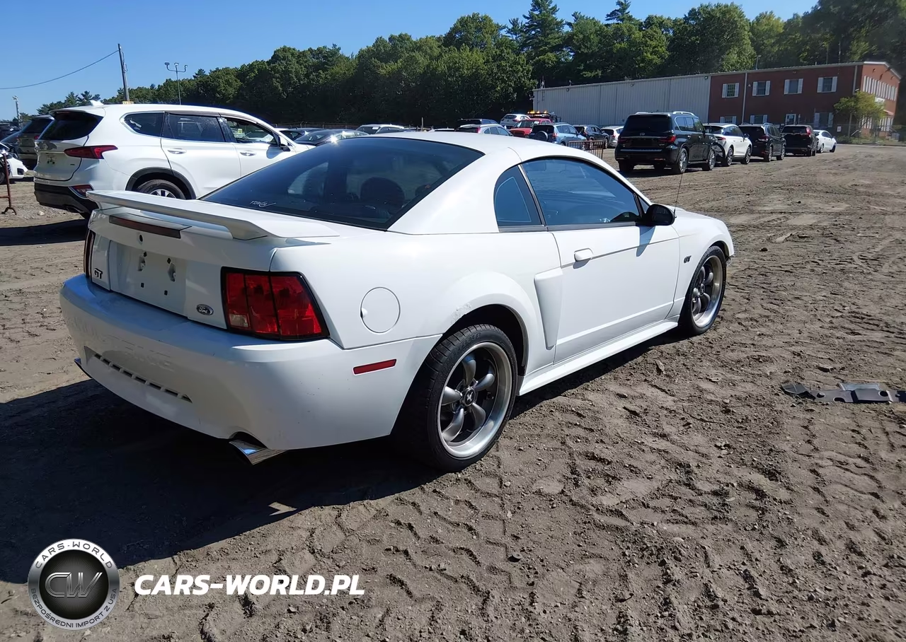 2003 Ford Mustang Gt VIN:1FAFP42XX3F445862 - 4