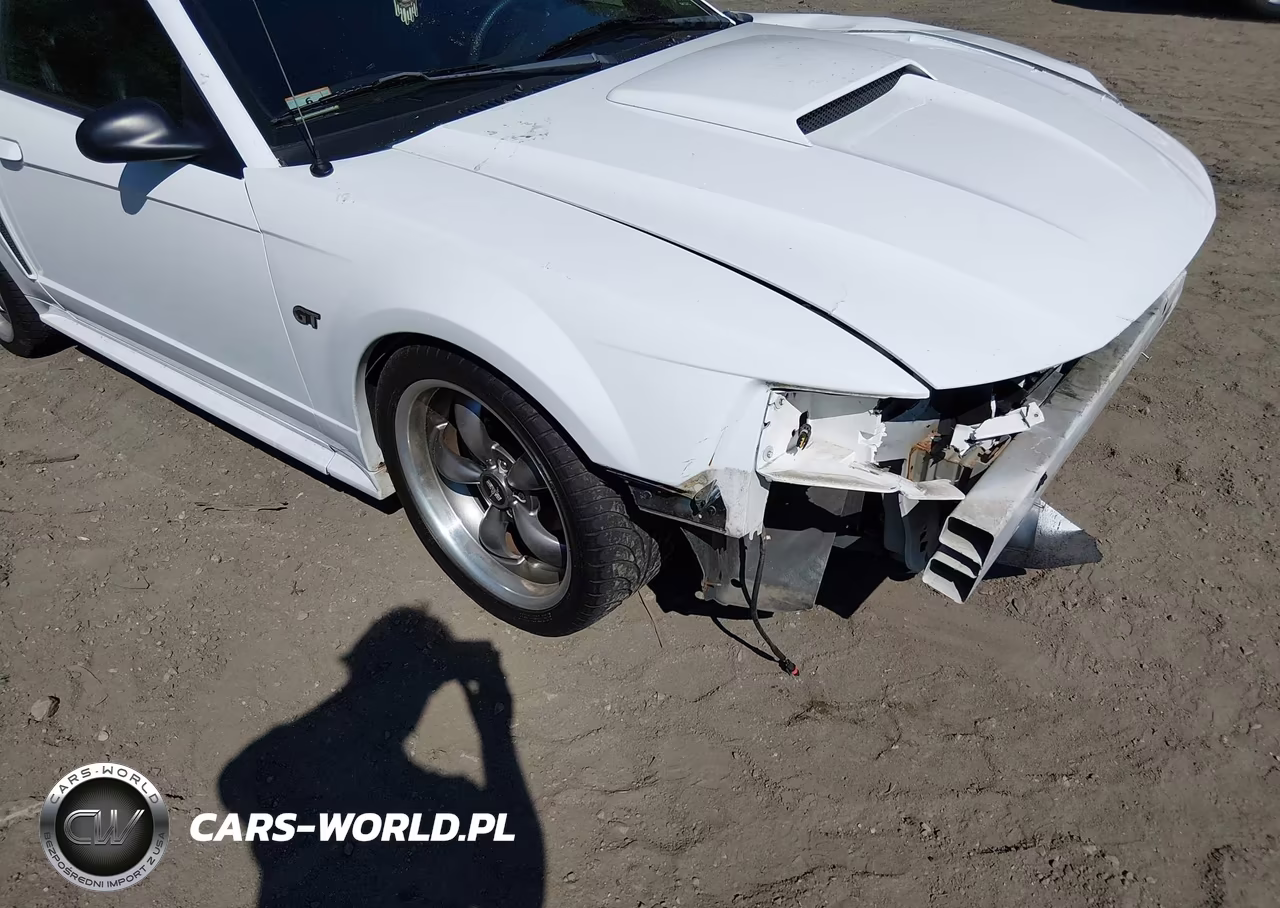 2003 Ford Mustang Gt VIN:1FAFP42XX3F445862 - 6