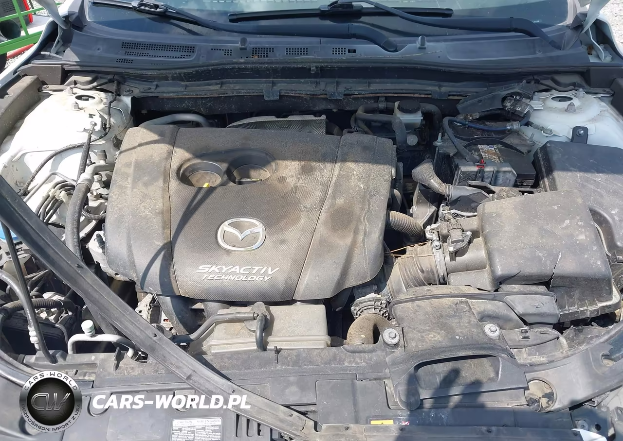 2014 Mazda Mazda3 I Sport VIN:JM1BM1U75E1147152 - 10