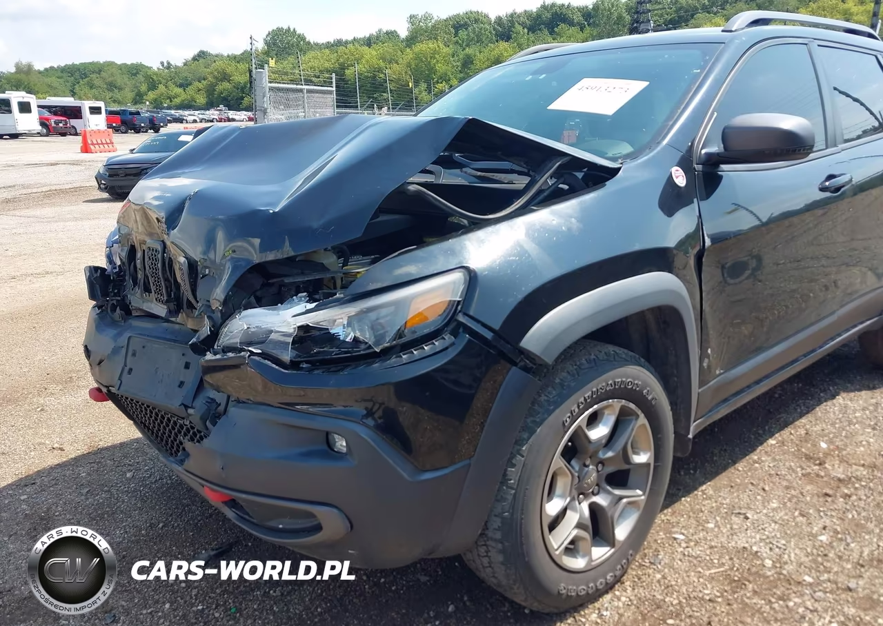 2019 Jeep Cherokee Trailhawk 4X4 VIN:1C4PJMBX3KD198078 - 6